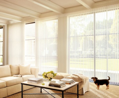 DTRONI_JUNEBLOG3_HunterDouglasShades_McAllenTX_photo