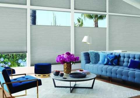 A living room with a blue couch and a center table with pink flowers. The windows are covered with motorized shades